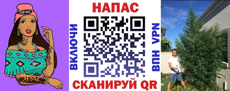 Шишки марихуана сатива  Купить закладки  Джанкой 